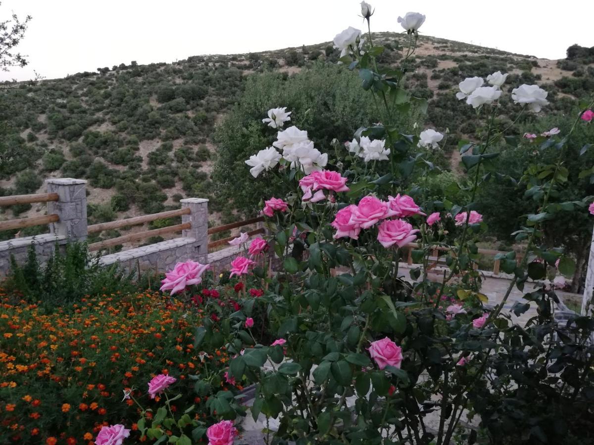 Villa Agno - Βίλα Αγνώ Ano Karies المظهر الخارجي الصورة
